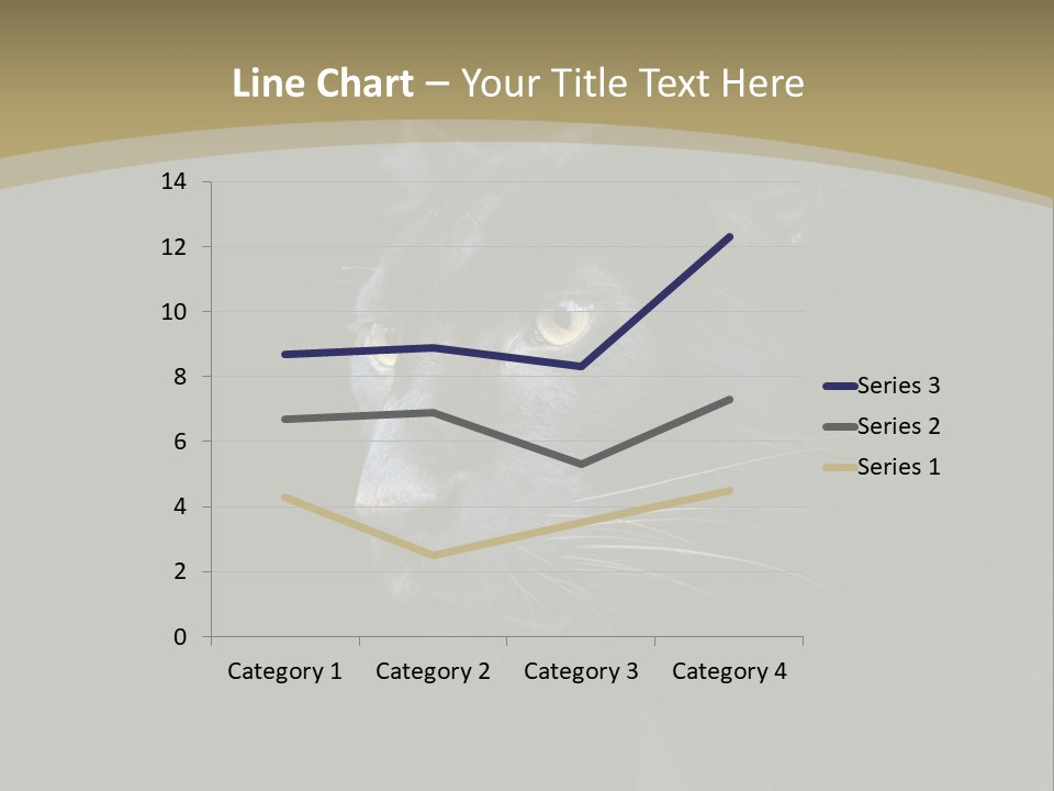 Black Nobody Detail PowerPoint Template