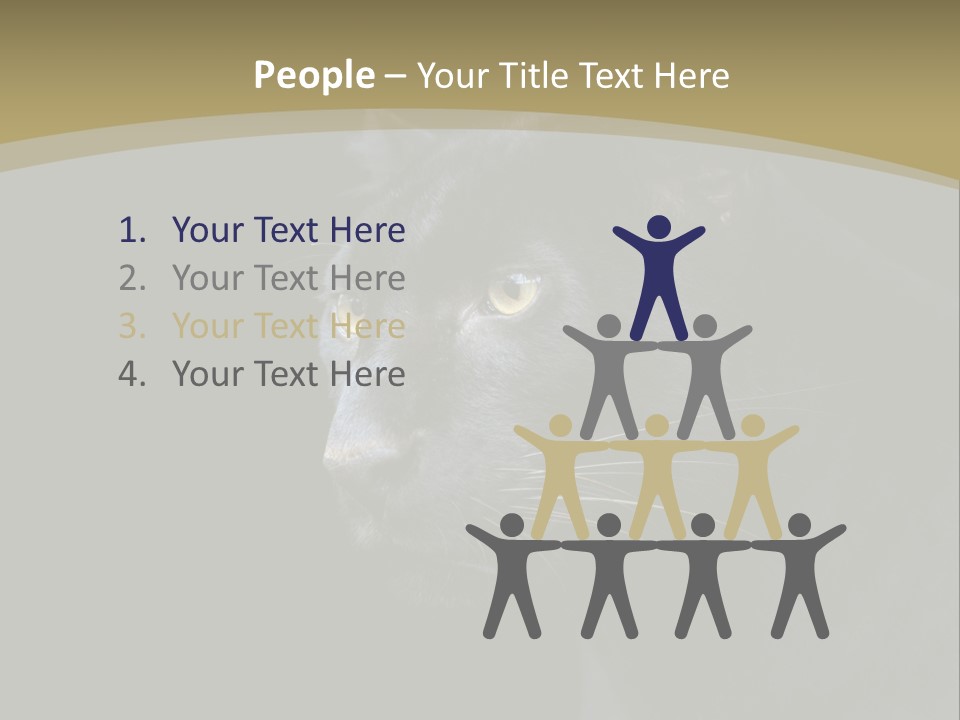 Black Nobody Detail PowerPoint Template