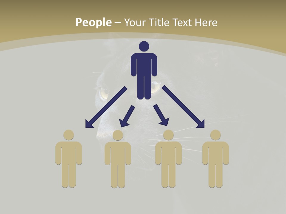 Black Nobody Detail PowerPoint Template