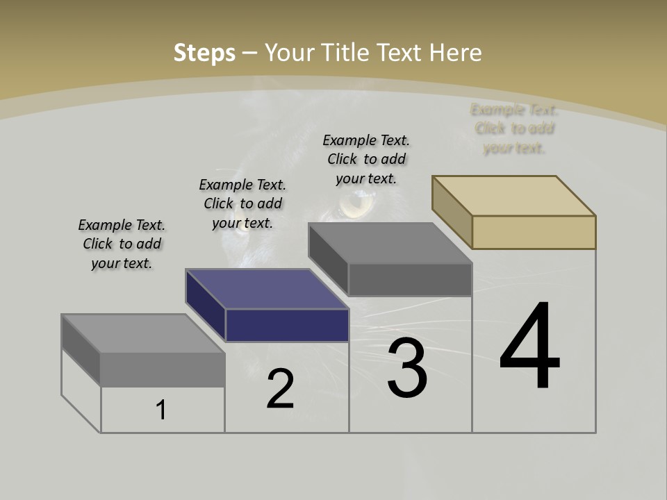 Black Nobody Detail PowerPoint Template