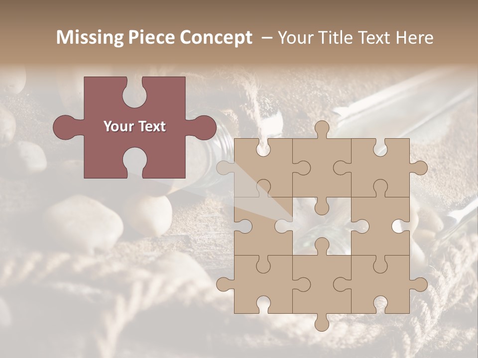 Shell Still Texture PowerPoint Template