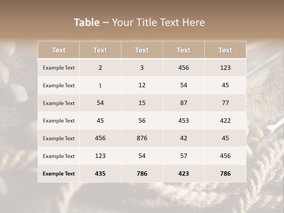 Shell Still Texture PowerPoint Template