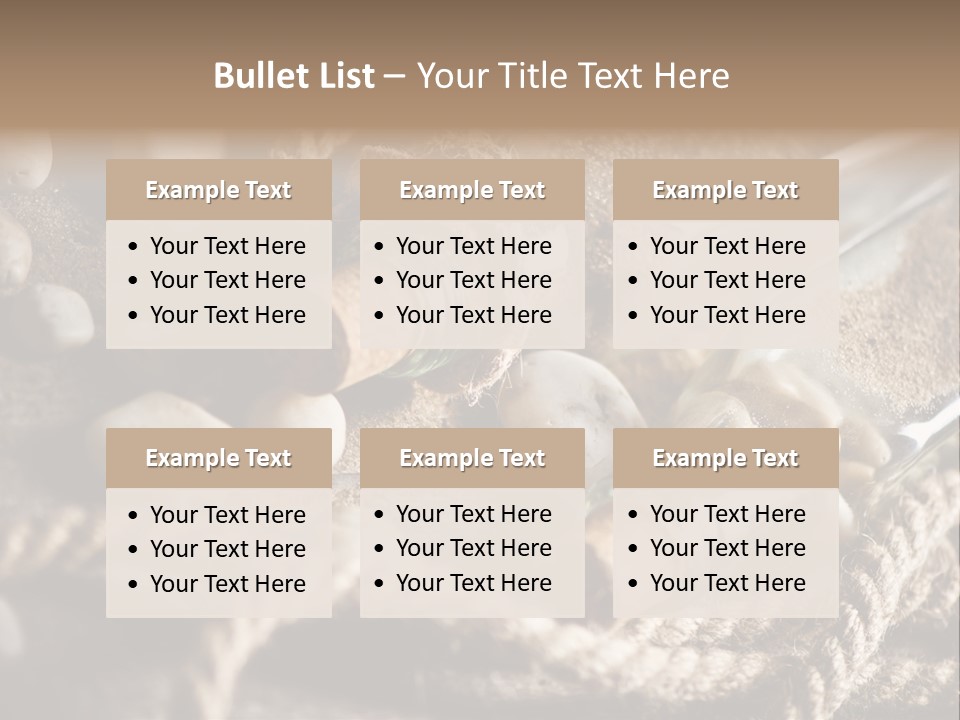 Shell Still Texture PowerPoint Template