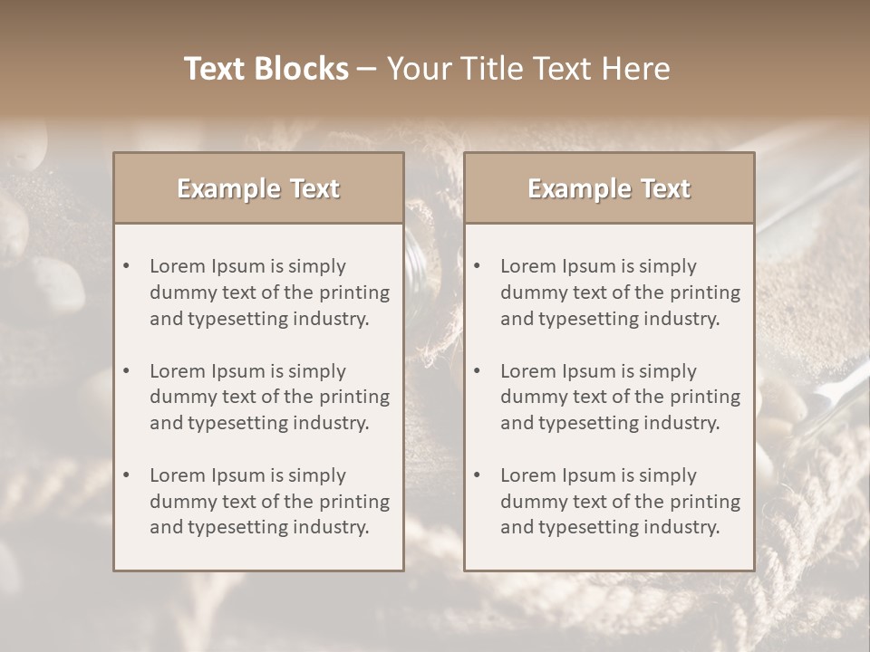 Shell Still Texture PowerPoint Template