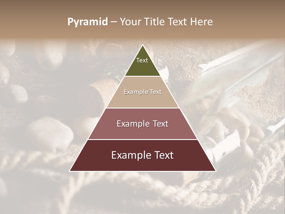 Shell Still Texture PowerPoint Template