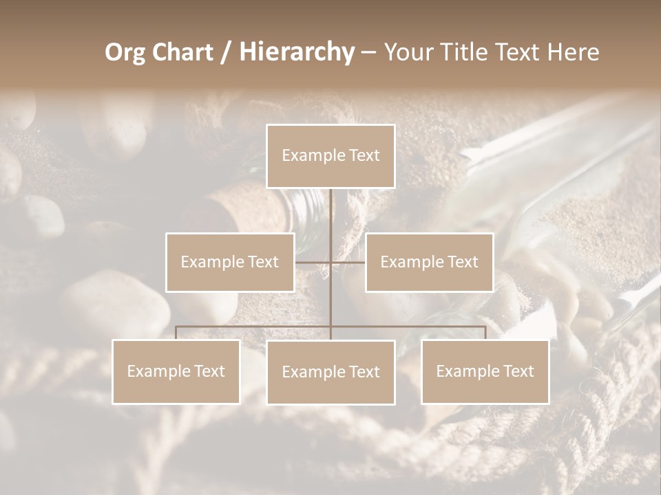 Shell Still Texture PowerPoint Template