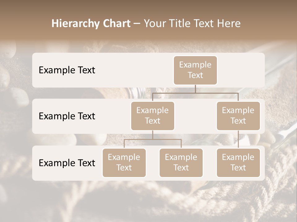 Shell Still Texture PowerPoint Template