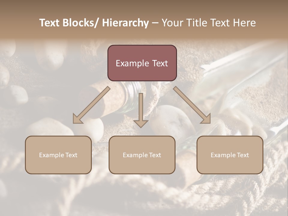 Shell Still Texture PowerPoint Template
