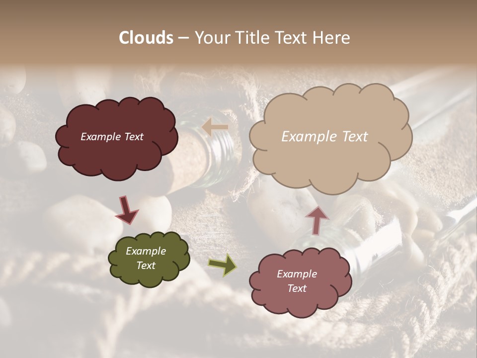 Shell Still Texture PowerPoint Template