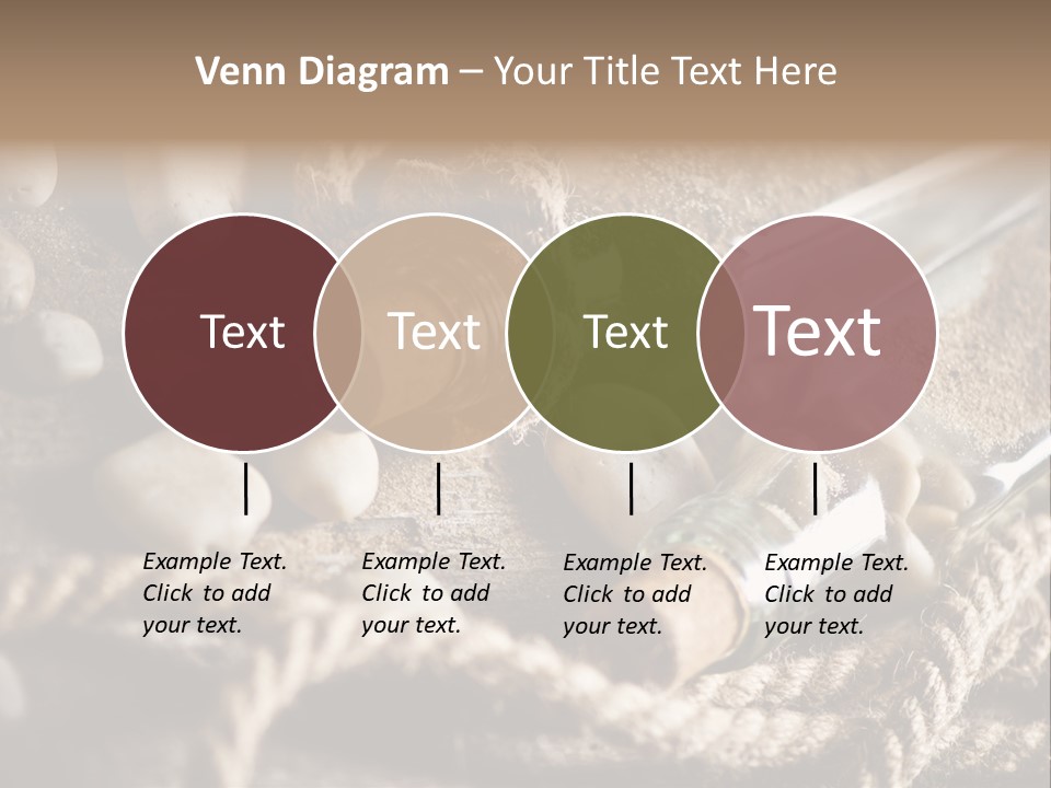 Shell Still Texture PowerPoint Template