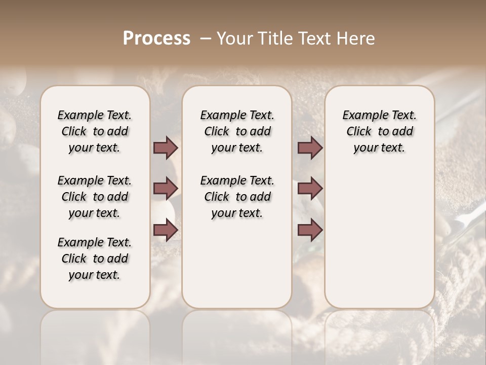 Shell Still Texture PowerPoint Template