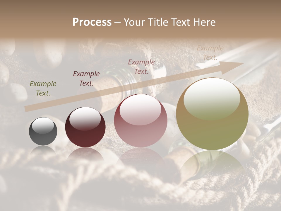 Shell Still Texture PowerPoint Template