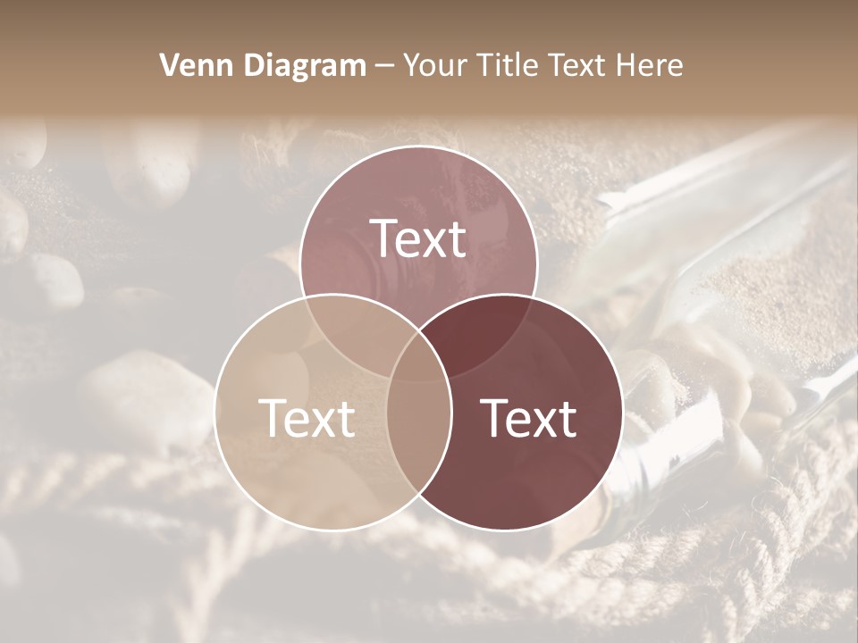 Shell Still Texture PowerPoint Template