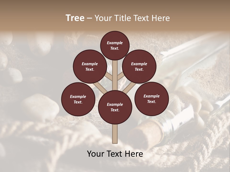 Shell Still Texture PowerPoint Template