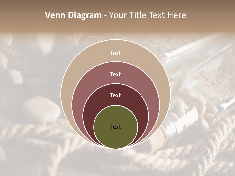 Shell Still Texture PowerPoint Template