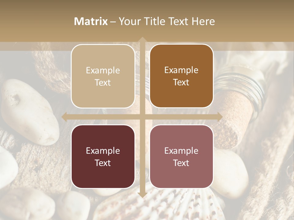 Rotten Board Shell Design PowerPoint Template