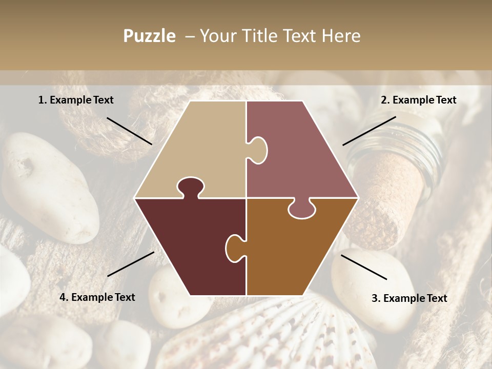 Rotten Board Shell Design PowerPoint Template
