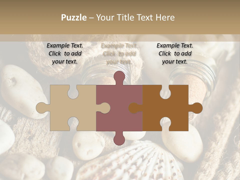 Rotten Board Shell Design PowerPoint Template