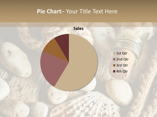 Rotten Board Shell Design PowerPoint Template