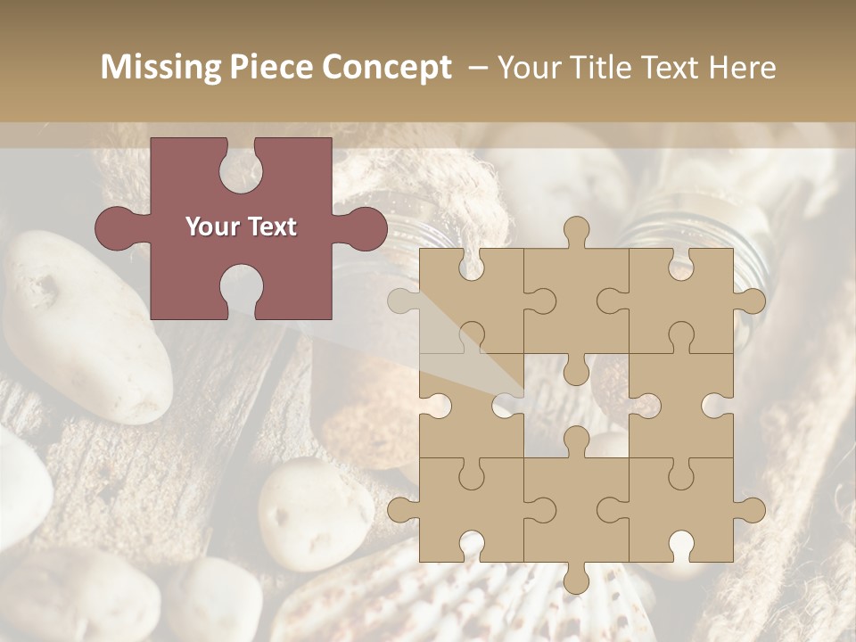 Rotten Board Shell Design PowerPoint Template