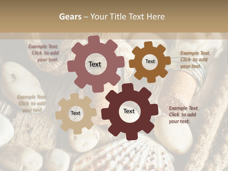 Rotten Board Shell Design PowerPoint Template