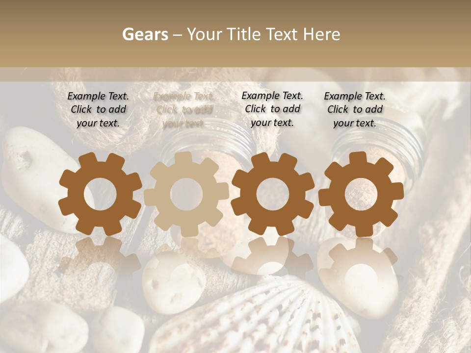 Rotten Board Shell Design PowerPoint Template