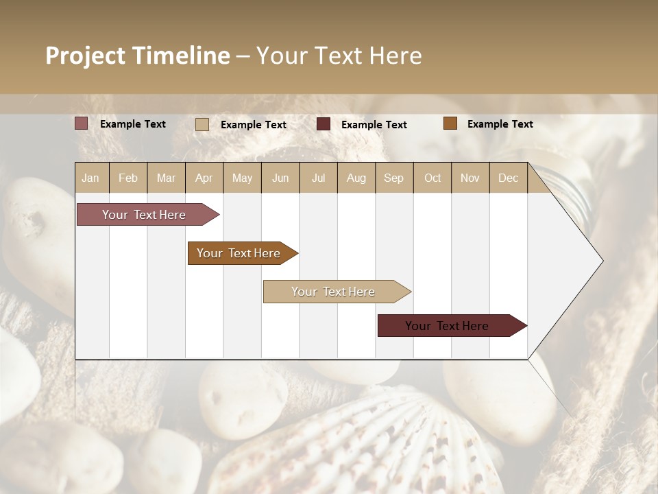 Rotten Board Shell Design PowerPoint Template