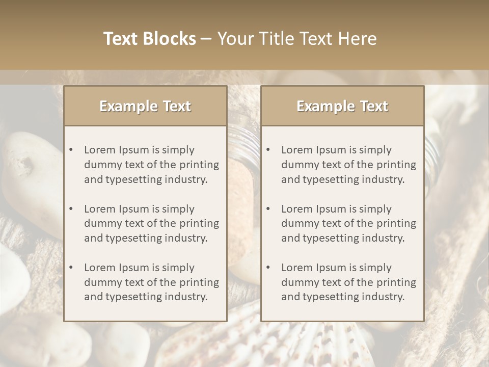 Rotten Board Shell Design PowerPoint Template