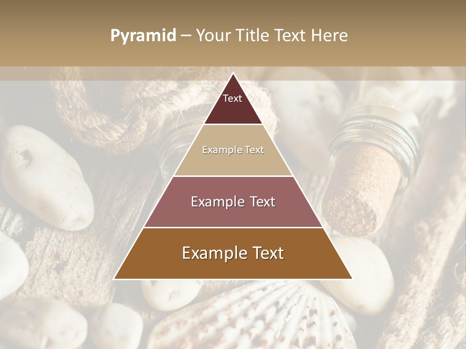 Rotten Board Shell Design PowerPoint Template