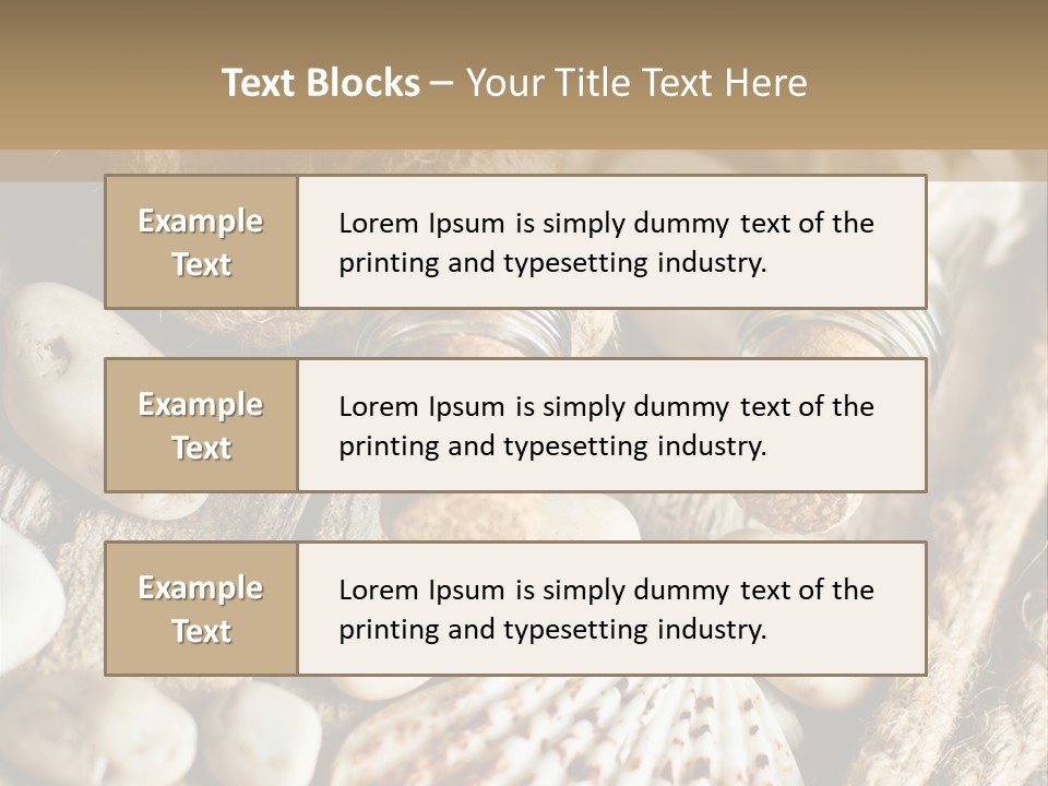 Rotten Board Shell Design PowerPoint Template