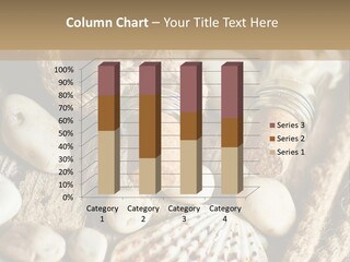 Rotten Board Shell Design PowerPoint Template