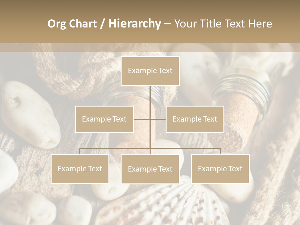 Rotten Board Shell Design PowerPoint Template