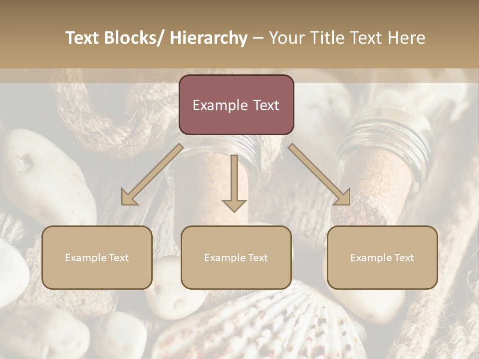 Rotten Board Shell Design PowerPoint Template