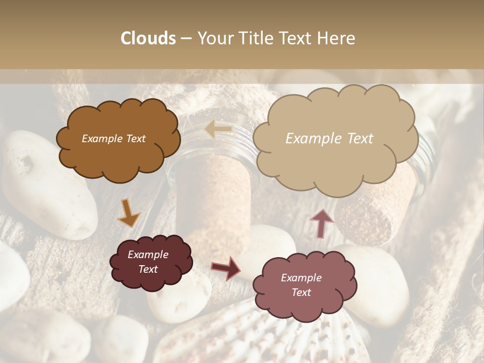 Rotten Board Shell Design PowerPoint Template