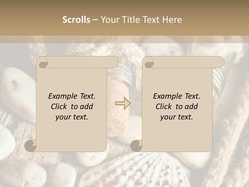 Rotten Board Shell Design PowerPoint Template