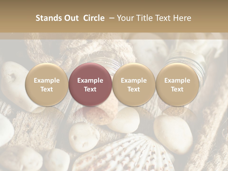 Rotten Board Shell Design PowerPoint Template