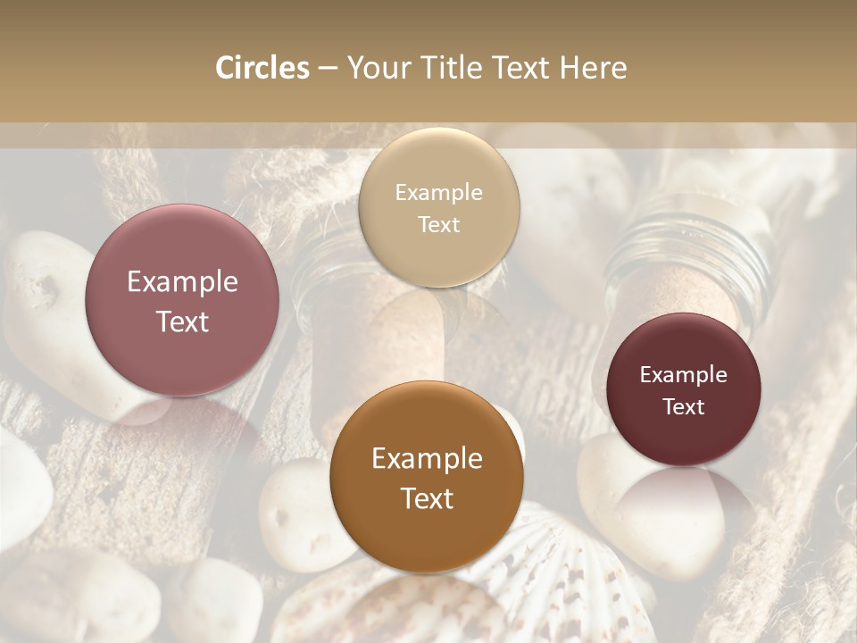 Rotten Board Shell Design PowerPoint Template