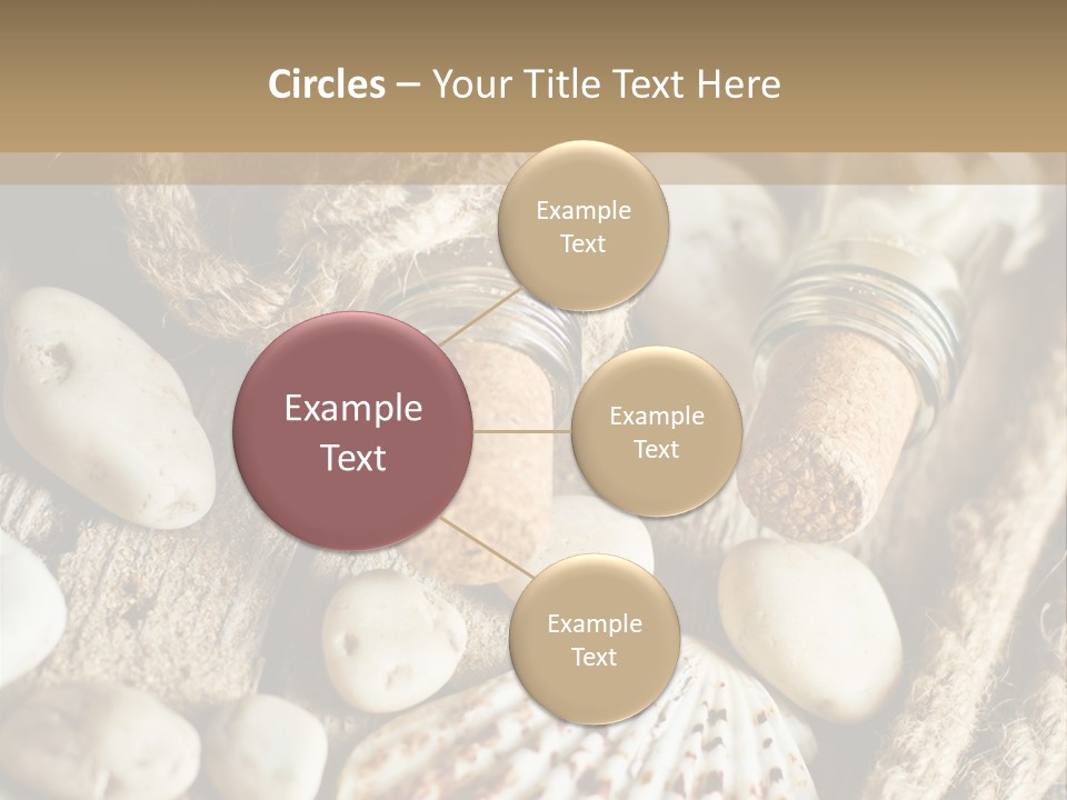 Rotten Board Shell Design PowerPoint Template