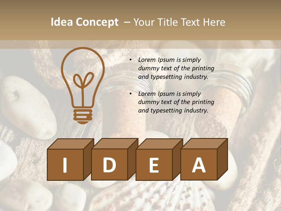 Rotten Board Shell Design PowerPoint Template