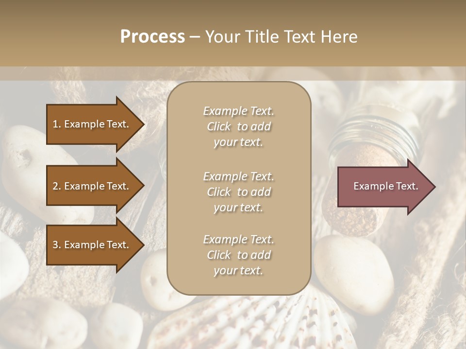 Rotten Board Shell Design PowerPoint Template