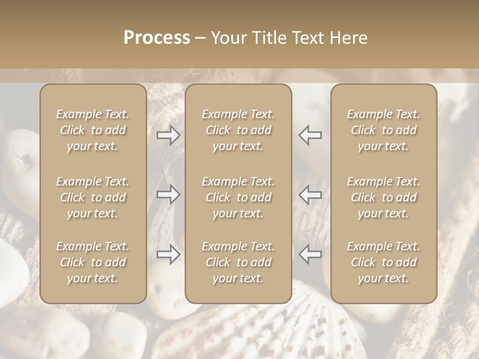 Rotten Board Shell Design PowerPoint Template