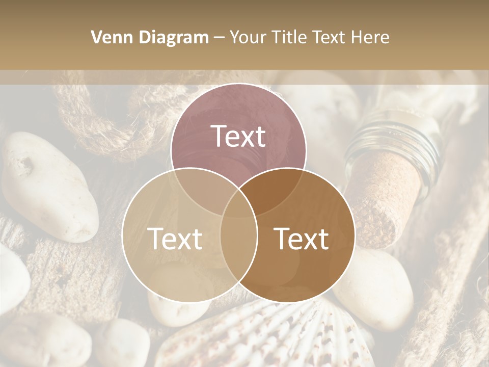 Rotten Board Shell Design PowerPoint Template