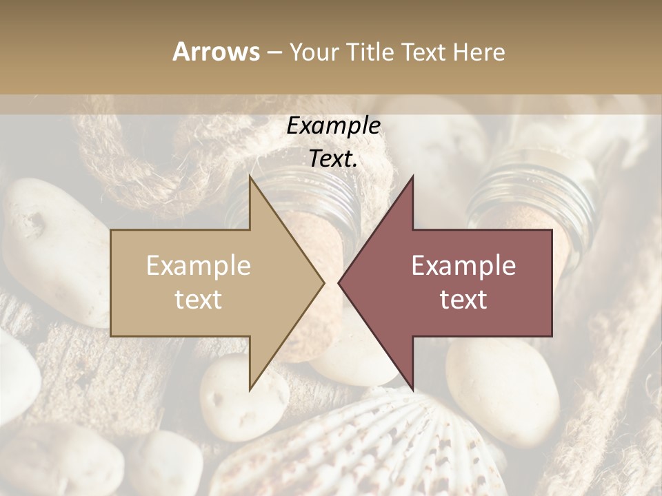 Rotten Board Shell Design PowerPoint Template