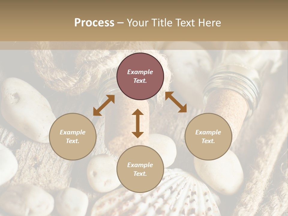 Rotten Board Shell Design PowerPoint Template