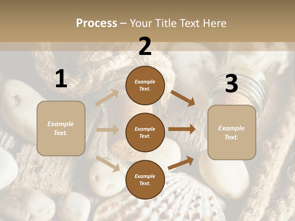 Rotten Board Shell Design PowerPoint Template