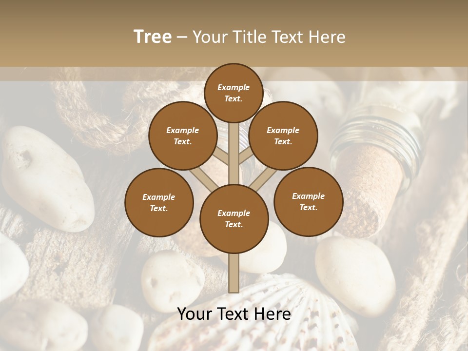 Rotten Board Shell Design PowerPoint Template