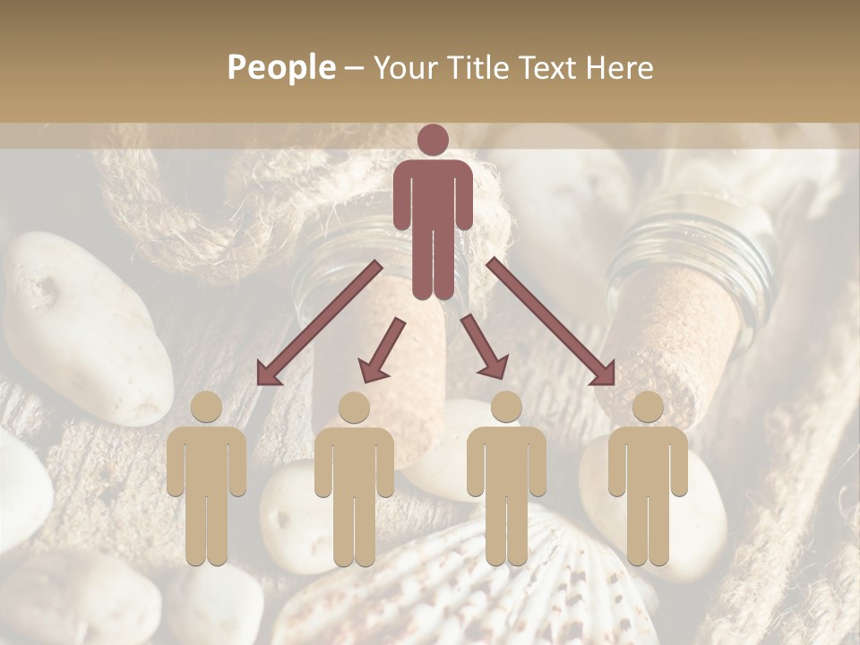 Rotten Board Shell Design PowerPoint Template