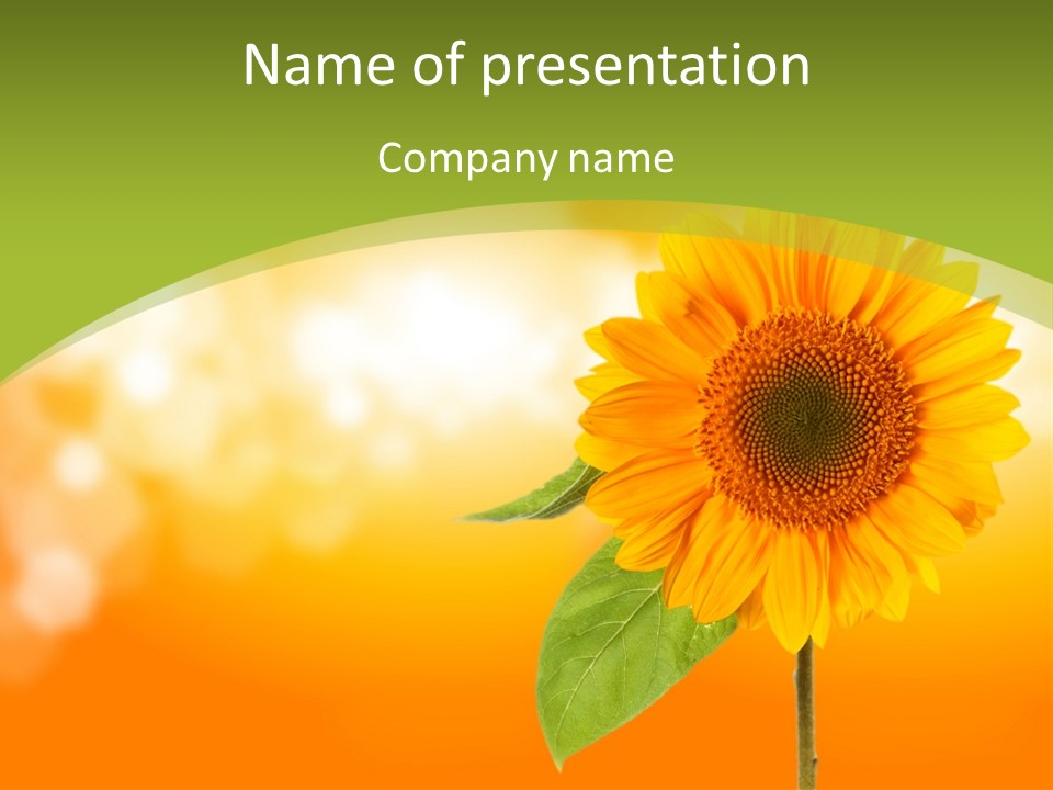 Company Li Ten Humor PowerPoint Template