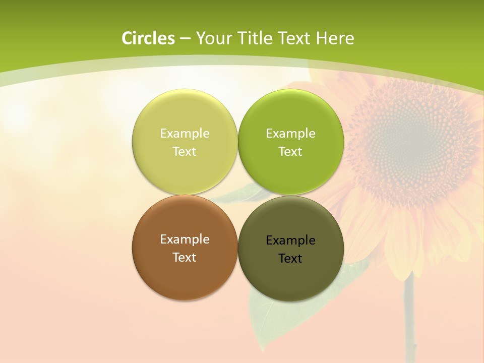 Company Li Ten Humor PowerPoint Template