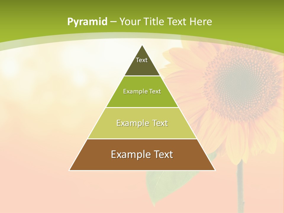 Company Li Ten Humor PowerPoint Template